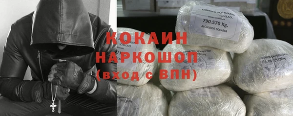 гидра Богородицк