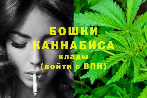 гидра Богородицк