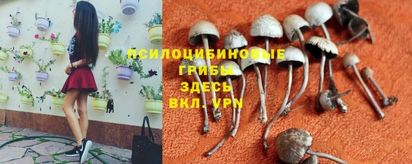 гидра Богородицк