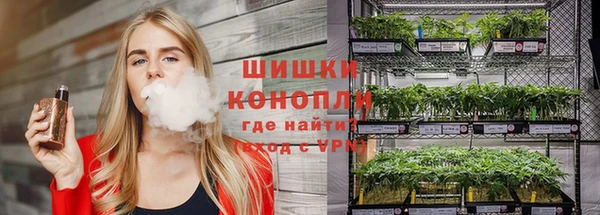 гидра Богородицк