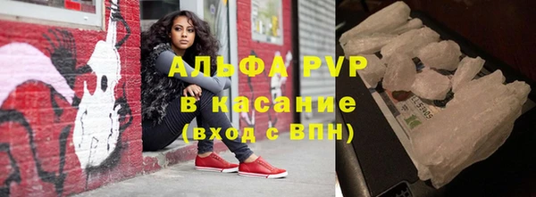 гидра Богородицк