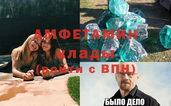 гидра Богородицк