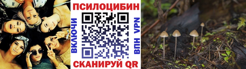 Псилоцибиновые грибы ЛСД  Белокуриха 
